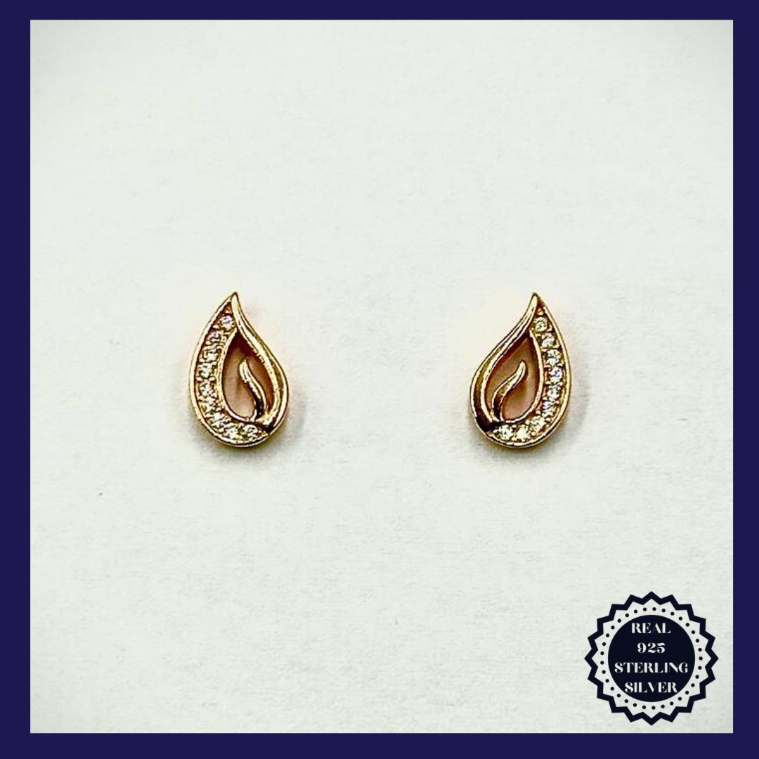 Sterling Silver Earrings (SRGE25003)