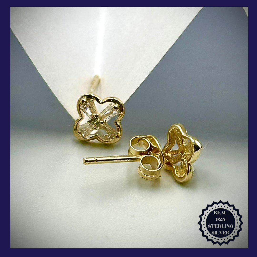 Sterling Silver Earrings (SGE25010)