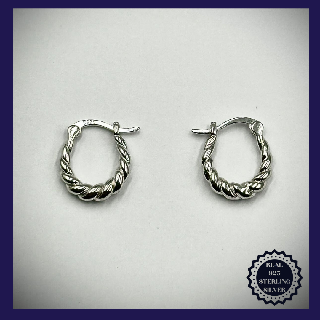 Sterling Silver Earrings (SE25007)