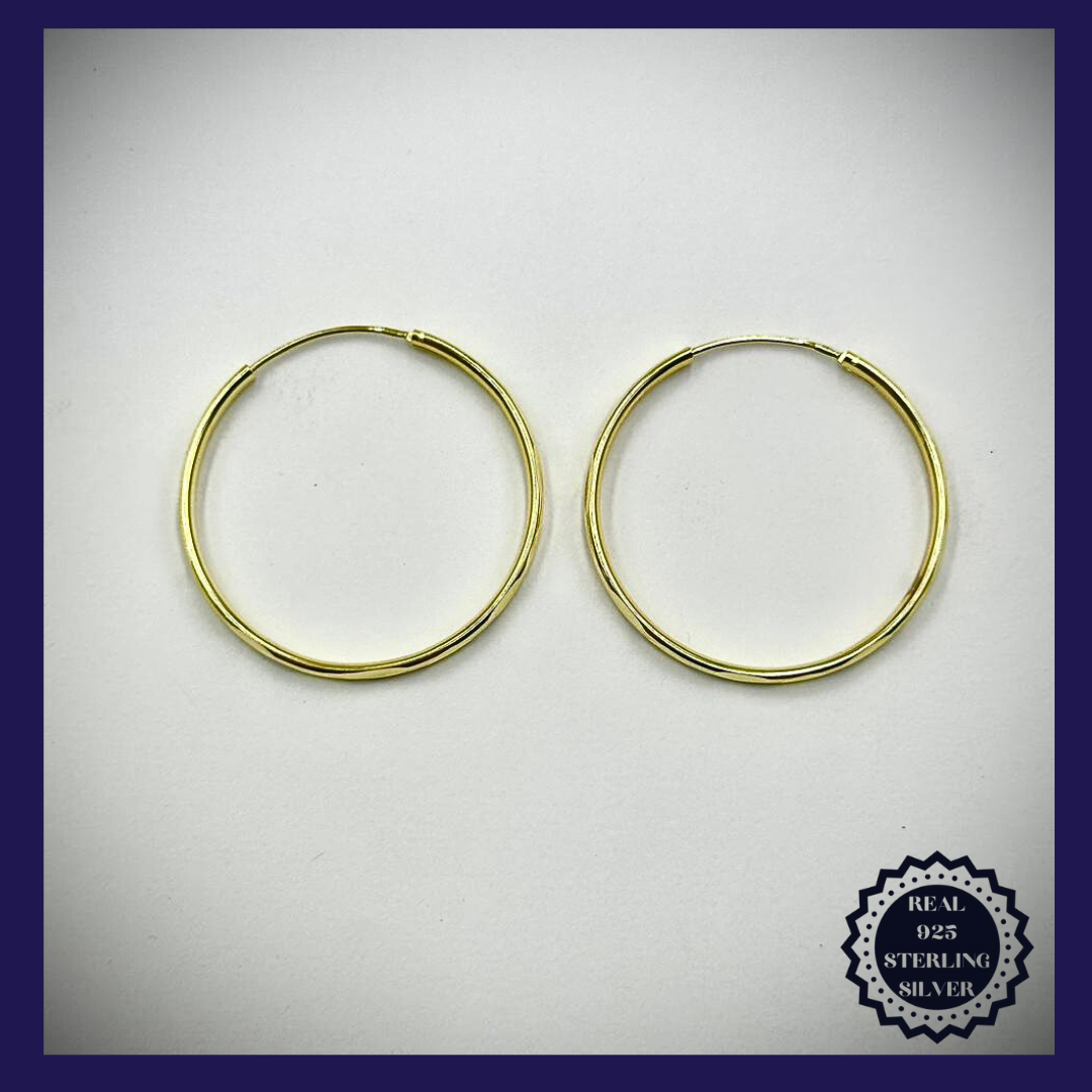 Sterling Silver Earrings (SGE25001)