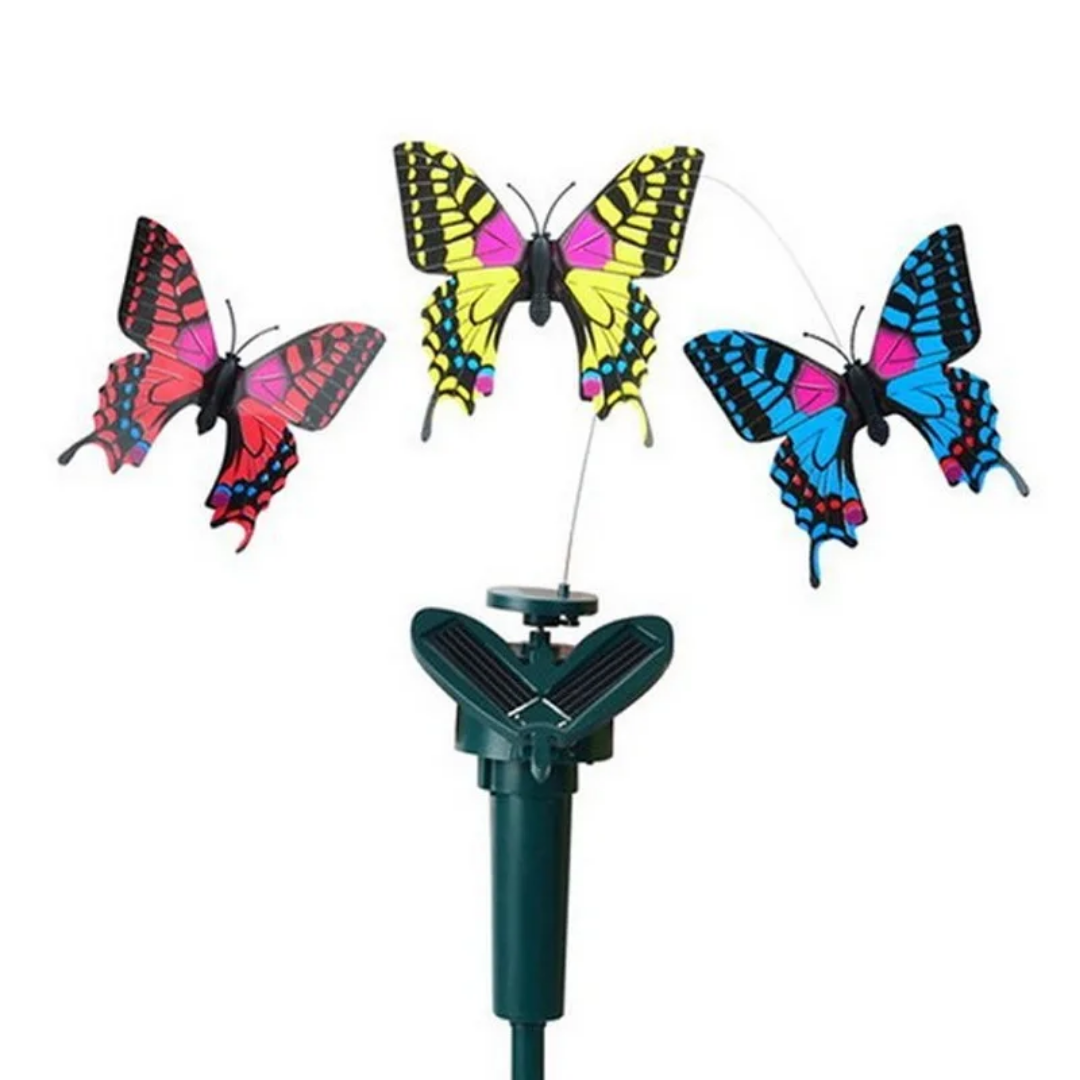 Solar Butterfly