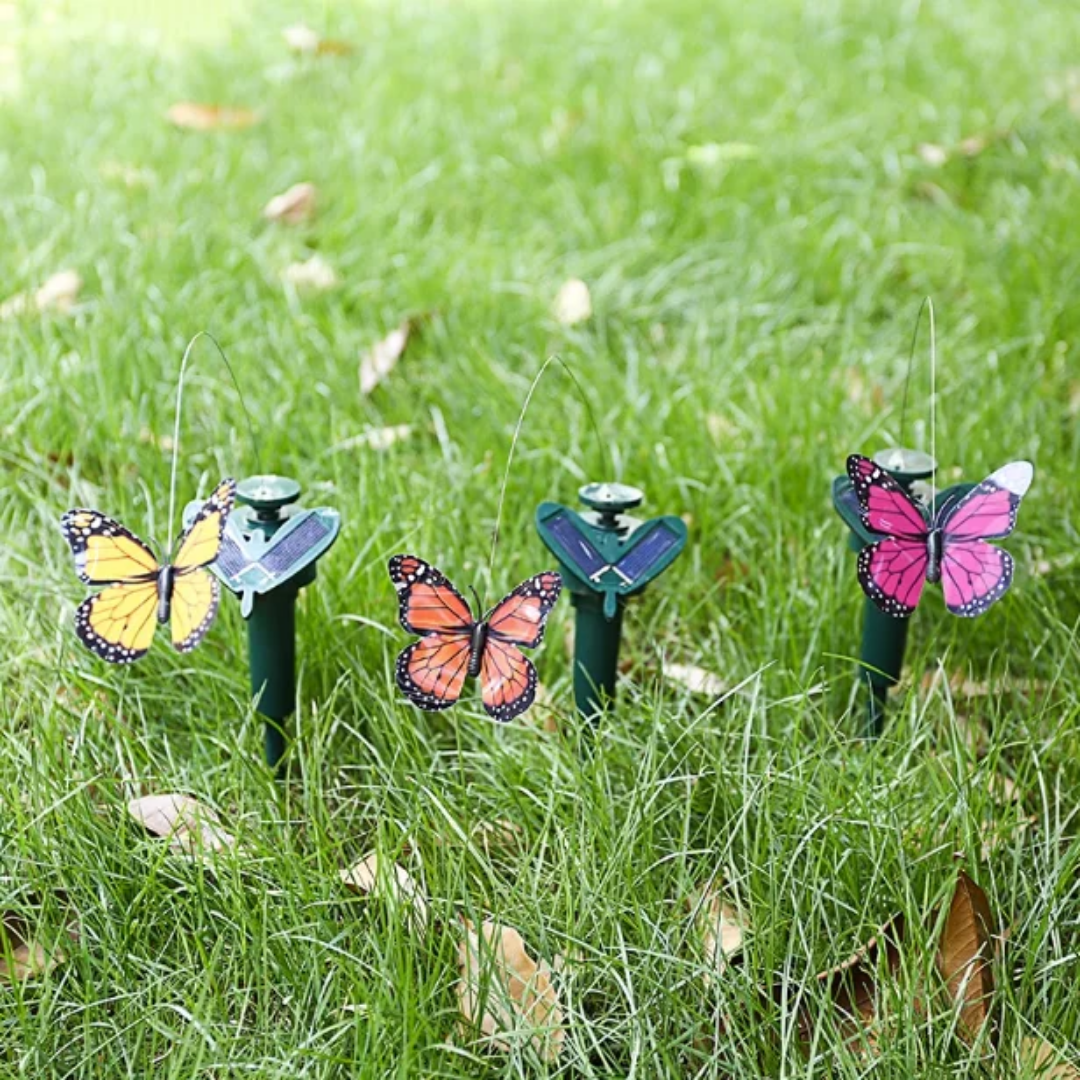 Solar Butterfly