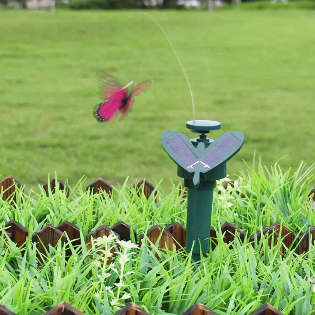 Solar Butterfly