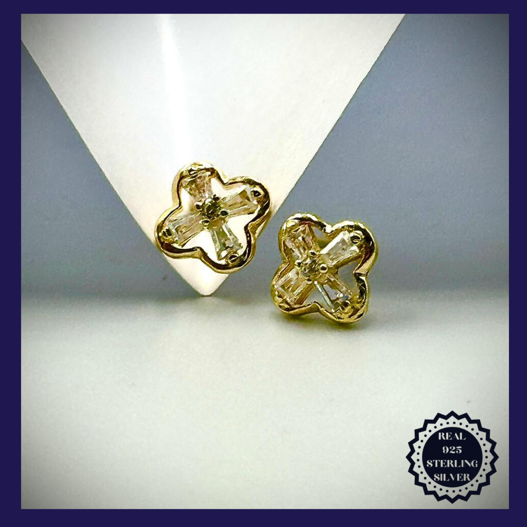 Sterling Silver Earrings (SGE25010)