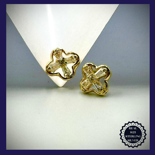 Sterling Silver Earrings (SGE25010)