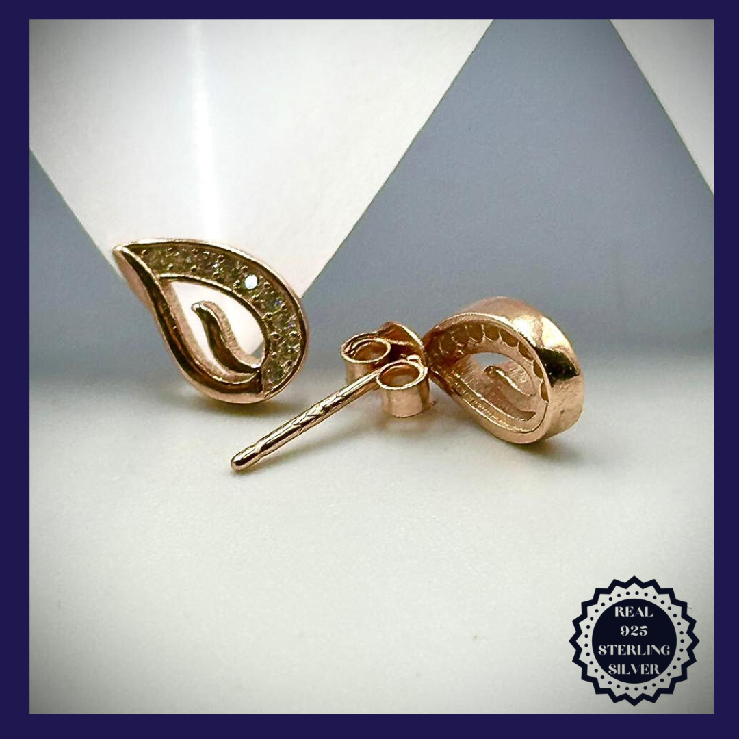 Sterling Silver Earrings (SRGE25003)