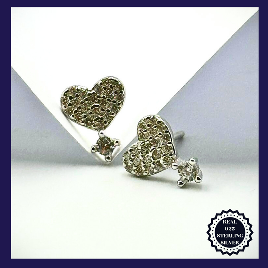 Sterling Silver Earrings (SE25005)